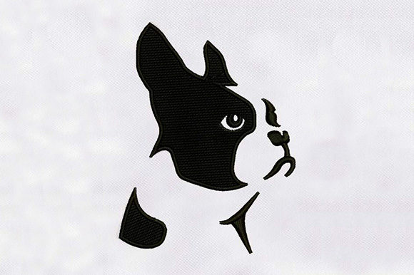 Charming Boston Dog Embroidery Design